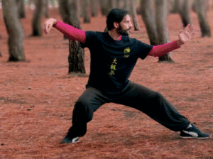 tai chi chuan